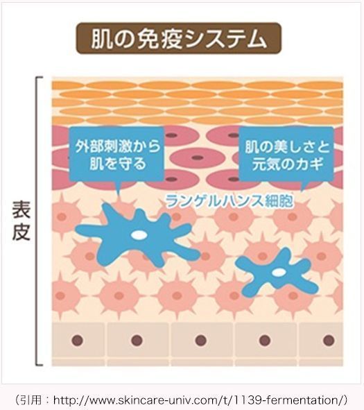 赤ら顔は洗顔しすぎが原因なの 治らないのは洗顔が原因 赤ら顔でひりひりするので低刺激の美容ジェルを探した結果